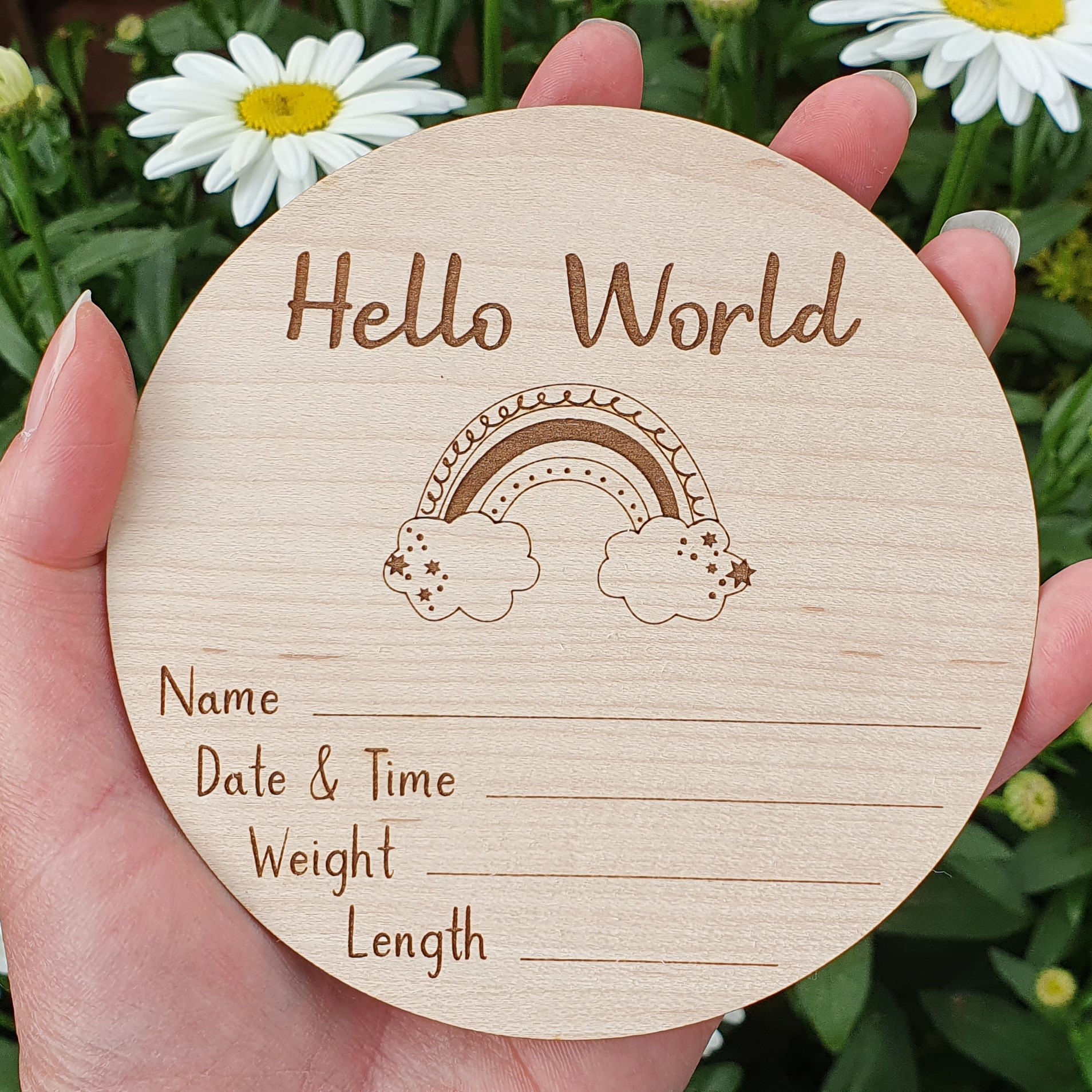 A wooden postcard with a rainbow graphic and the text "Hello World" is being held in front of a background of white daisies.